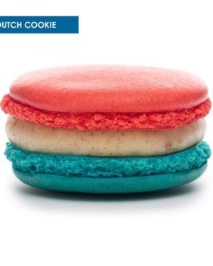 macaron-dutch-cookie